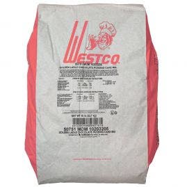 Westco Golden Ladle Chocolate Pudding Cake Mix - 50lb