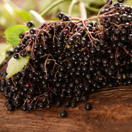 IQF Frozen Elderberries - 22lb