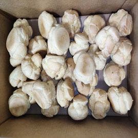 Cream Puff Shells - 1.25oz/60