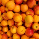 Apricot Filling Image 