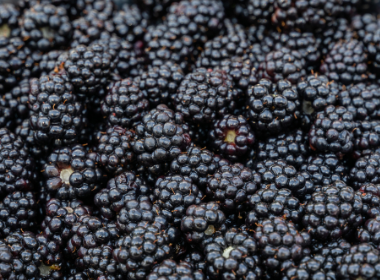 Blackberry Filling Image 