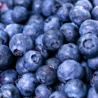 Blueberry Filling Image 