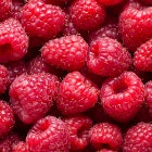 Raspberry Filling Image 